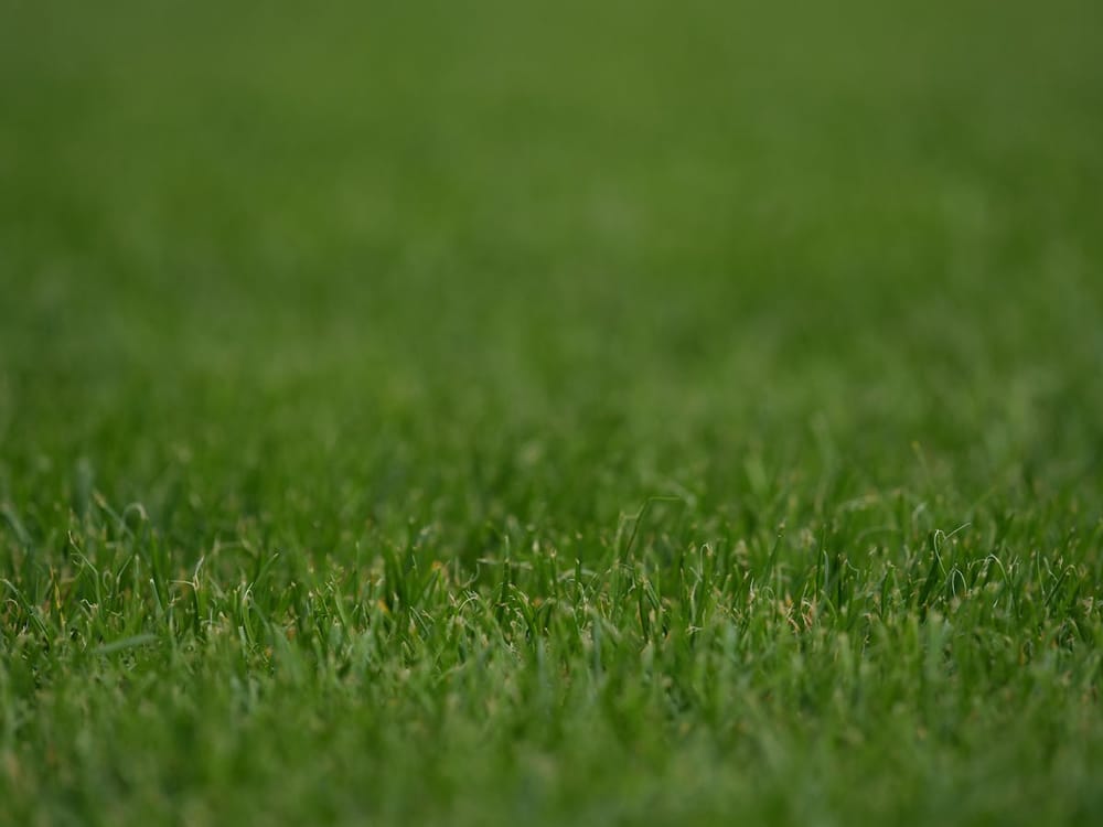 Robot Lawn Mowers in 2026: The Gadget That Quietly Buys Back Your Saturdays, and the Four Worth Owning